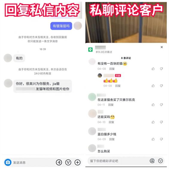 抖音快手卖猫狗，0门槛，月销30万！