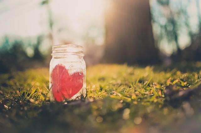 人为什么要善良？这些答案暖极了