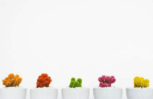 55本好书买来是阅读的，别让它摆拍之后落满尘埃