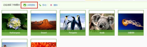 新手卖家必看：淘宝图片空间使用教程