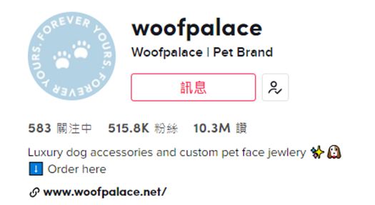 海外Tiktok赚钱的都在玩私域