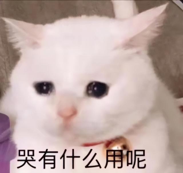 小红书运营攻略丨初学者从0-10000应该怎么做？