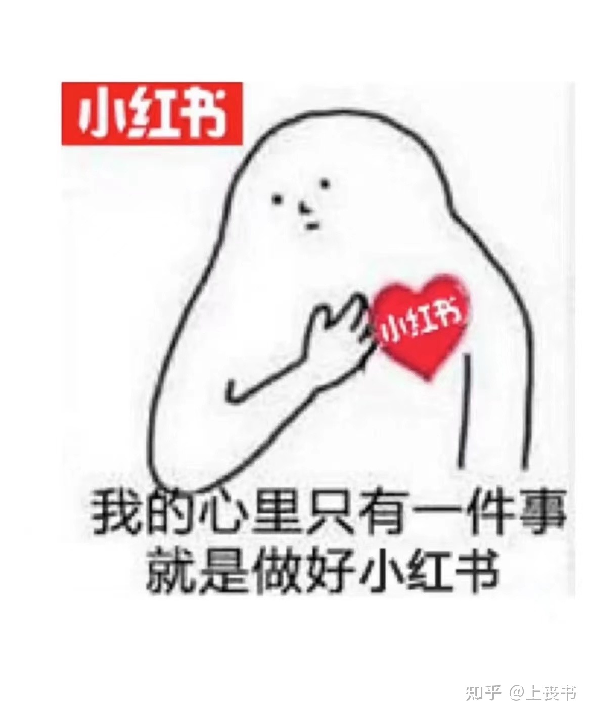 小红书新手踩坑血泪总结｜第七弹