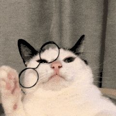 抖音直播赚Q神话能否复刻到TikTok？【直播环节一文通】