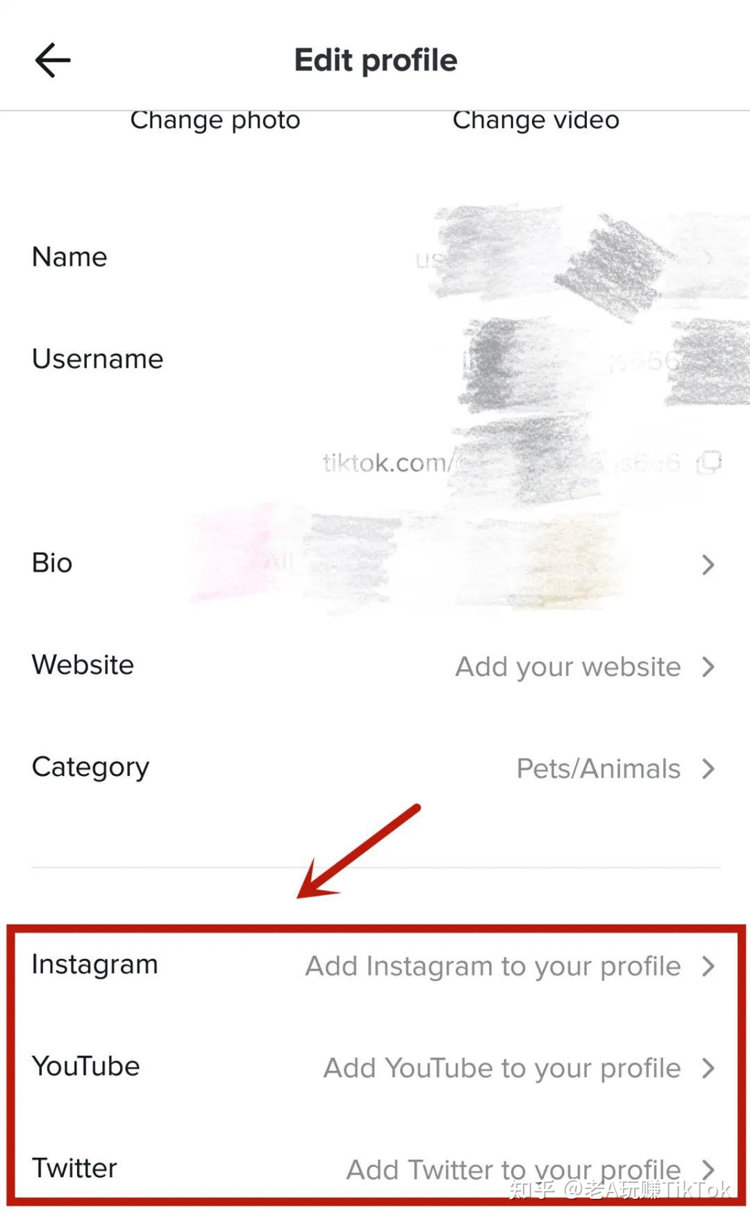 如何玩转TikTok营销？你想知道的一切都在这里