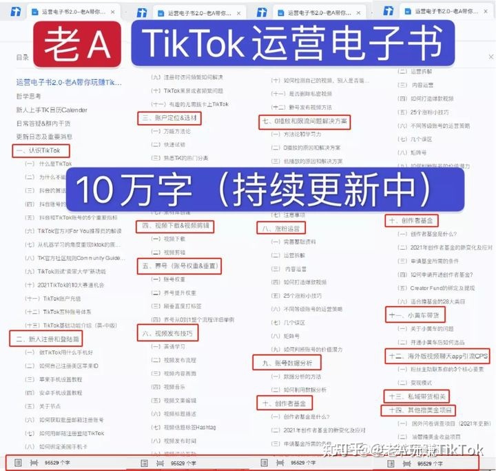海外版抖音TIKTOK要盈利怎么做才能更精准迅速？