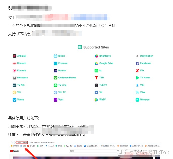 全网最全TikTok海外抖音从入门到进阶的100+款实用工具 …