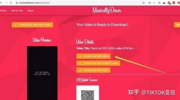 在国内怎么下载tiktok，有没有大神可以教一下？