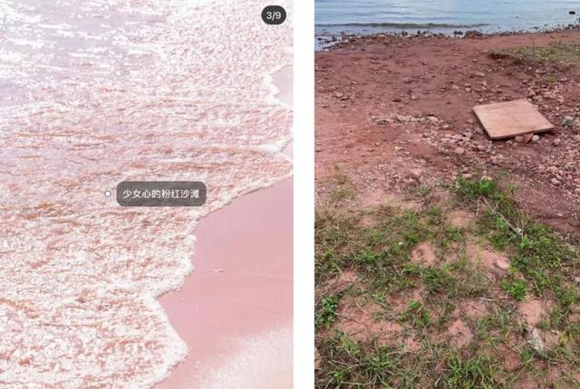 小红书致歉！当“国民种草机”变了味，网友心态崩了：离了大谱