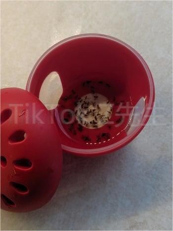 TikTok短视频话术归纳！