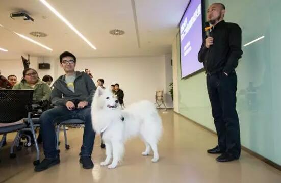 萌宠求学当网红，张大奕要失业了!