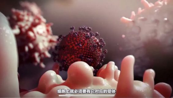 一个科普视频涨粉320万，连央视都转发是怎么做到的？