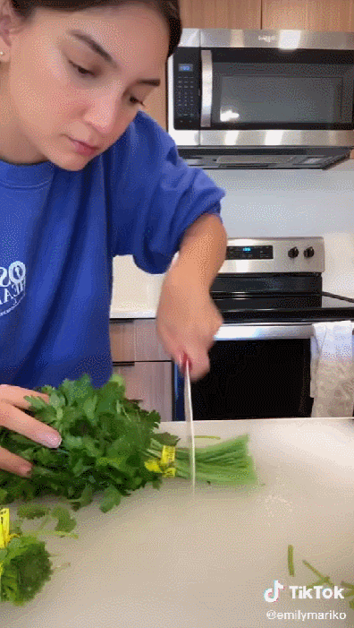 TikTok年度最受欢迎博主曝光！他能吸粉过1亿，我真的没想到……