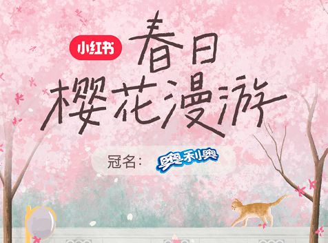 小红书品牌营销案例