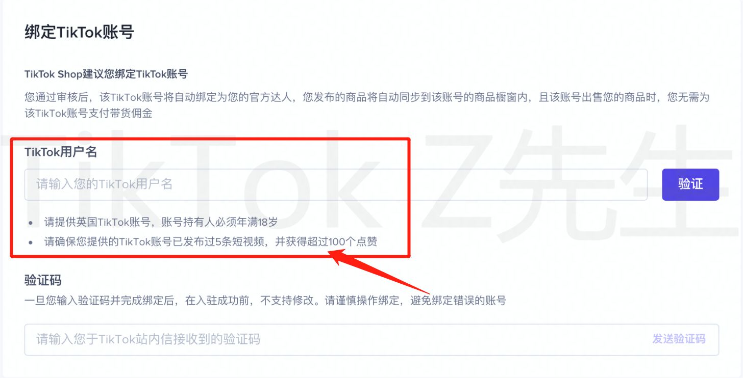 全网最全TikTok英国小店开店教程