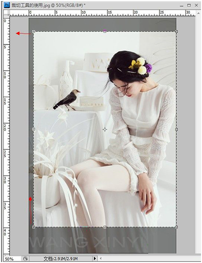 淘宝切片教程：ps切片工具怎么用?