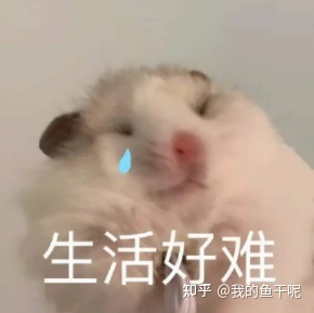 新手小白靠视频号，1小时变现1000，方法我全写出来了（附 … …