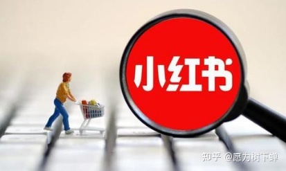 揭秘小红书的营销技巧,企业营销必看!