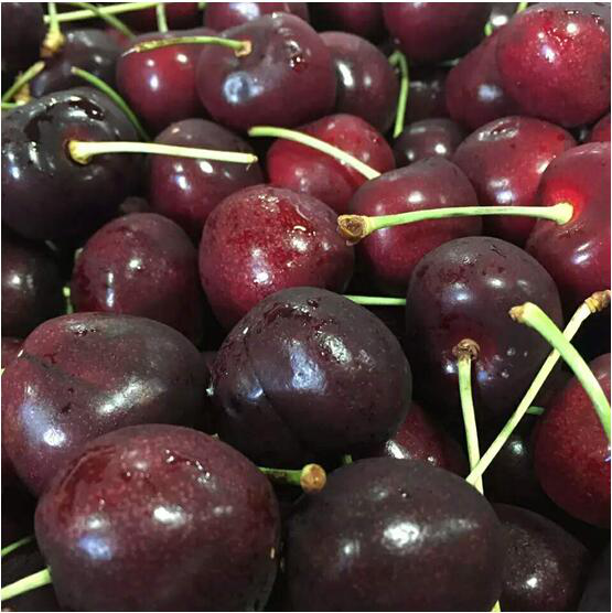 新手怎么做淘宝主图?善用散点构图法!