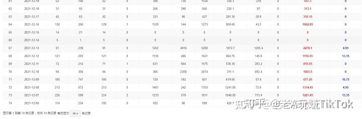 海外版抖音TIKTOK要盈利怎么做才能更精准迅速？