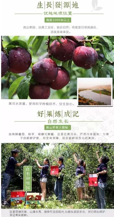 淘宝店铺宝贝详情页跳失率高怎么办?