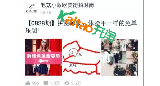 毛菇小象给告诉你如何利用微淘打造双十一爆款!