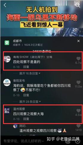 「四处观察」，如何做到一周涨粉610万，月涨粉1101万？