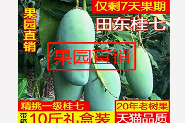 淘宝主图上加字的规则是什么？加哪些字能吸引客户？