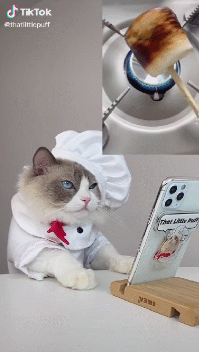 TikTok年度最受欢迎博主曝光！他能吸粉过1亿，我真的没想到……