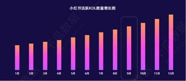 小红书种草很强势,但电商闭环做不大 小红书种草很强势,但电商闭环做不大