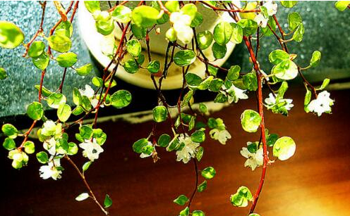 淘宝宝贝拍摄灯光怎么选择?