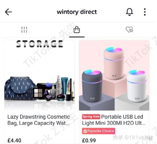 分分钟玩转TikTok短视频带货，新手也能行！