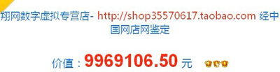 翔网数字虚拟专营店