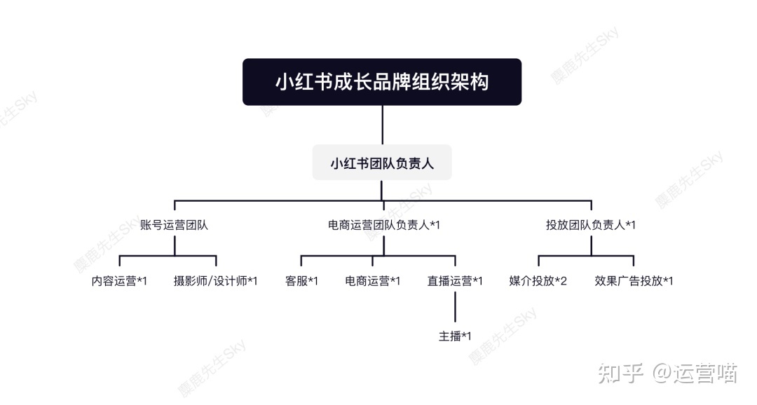 企业的小红书运营团队组织架构设计方案