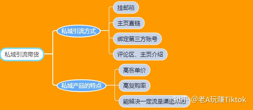 如何玩转TikTok营销？你想知道的一切都在这里