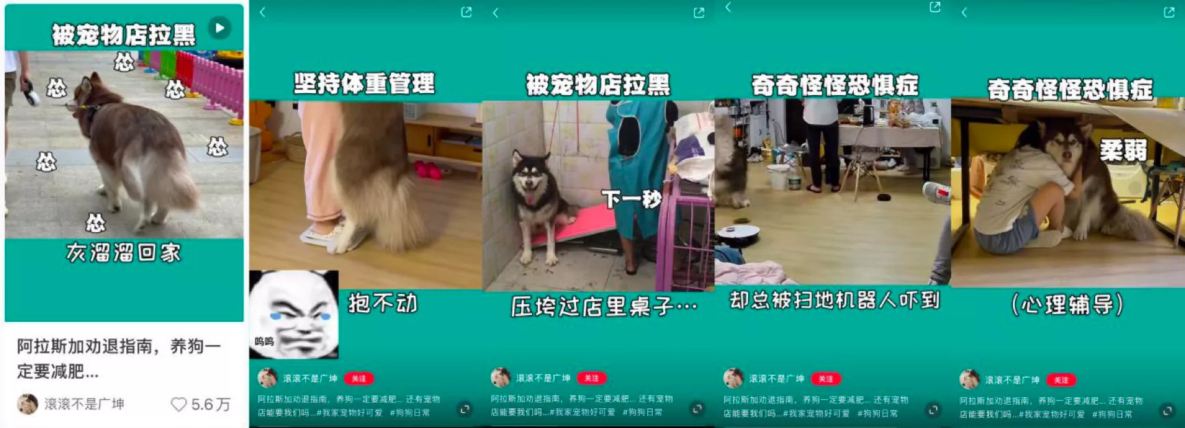 小红书营销：6000字讲透小红书爆文核心