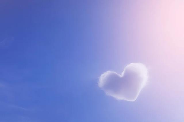 人为什么要善良？这些答案暖极了