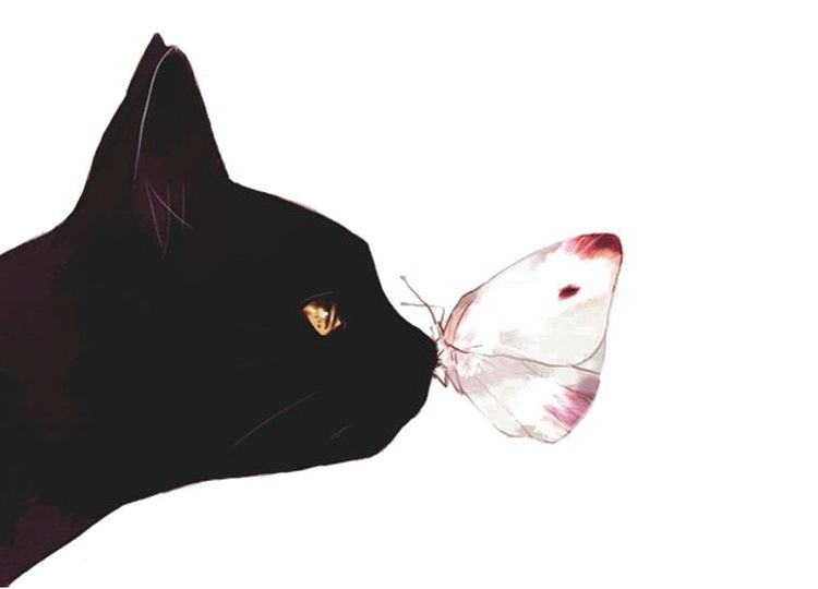 淘宝宝贝详情页制作技巧是什么？怎么达到高转化效果？