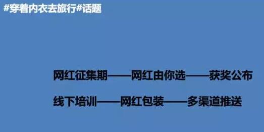 一家TOP内衣网红店铺年终复盘案例分析