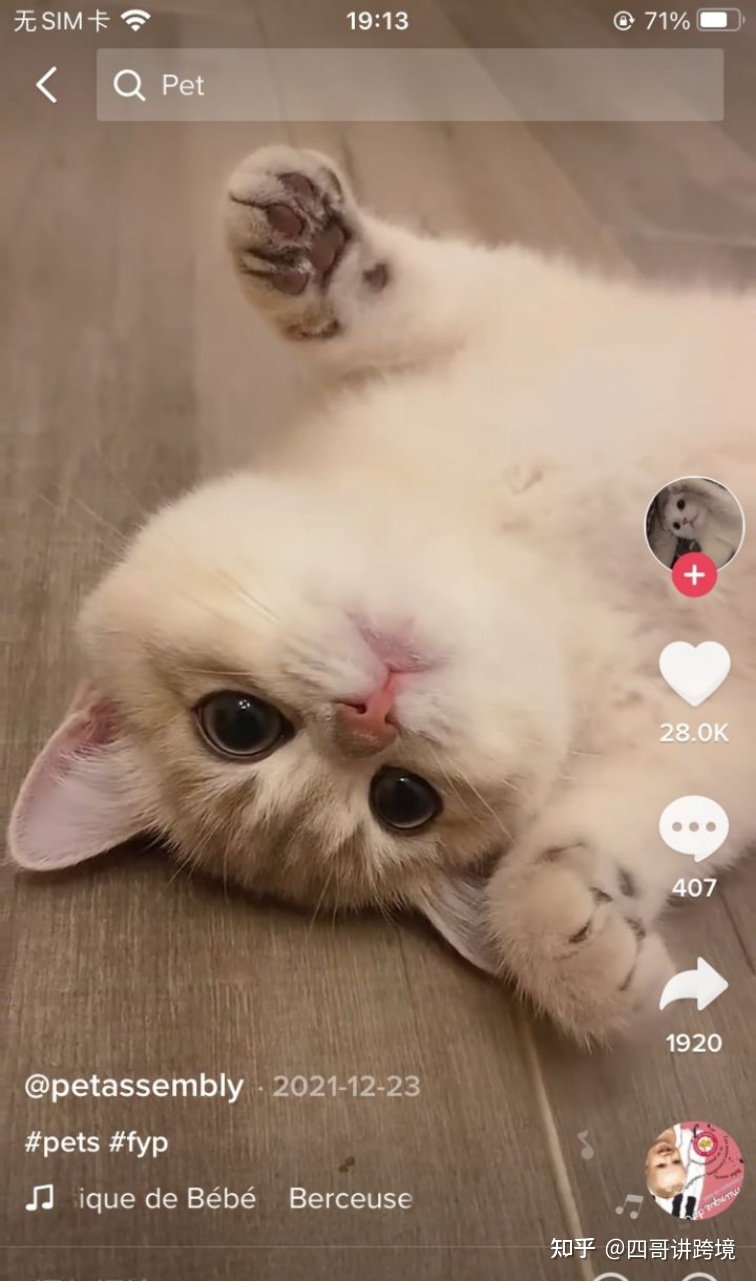 2022 年tiktok苹果/安卓下载详细教程(附带tiktok运营资料) 2022 年tiktok苹果/安卓下载详细教程(附带tiktok运营资料)