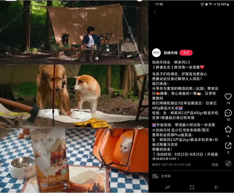 精致养宠潮流下，品牌小红书营销如何出圈？