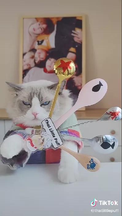 TikTok年度最受欢迎博主曝光！他能吸粉过1亿，我真的没想到……