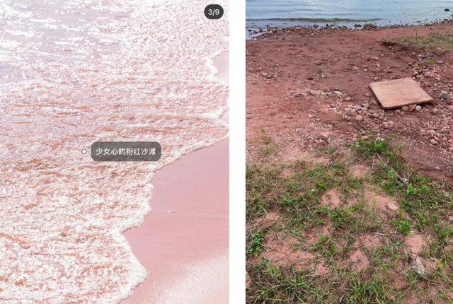 种草成埋雷，小红书活该被质疑吗？