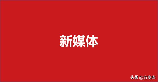 395双微一抖小红书营销方案（30份）