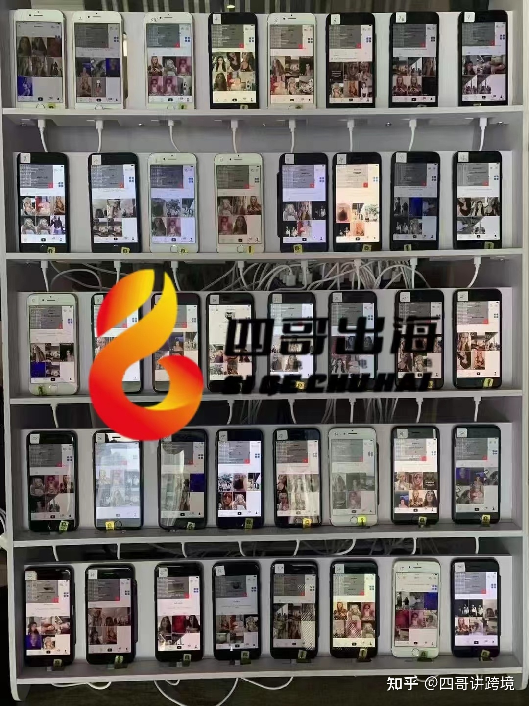 2022 年tiktok苹果/安卓下载详细教程(附带tiktok运营资料) 2022 年tiktok苹果/安卓下载详细教程(附带tiktok运营资料)