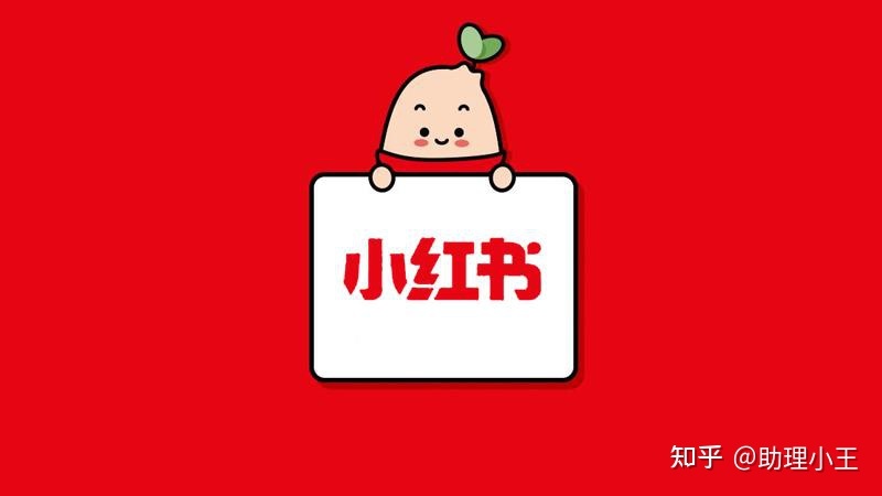 0基础新手小白运营小红书，要掌握的知识点都在这里了