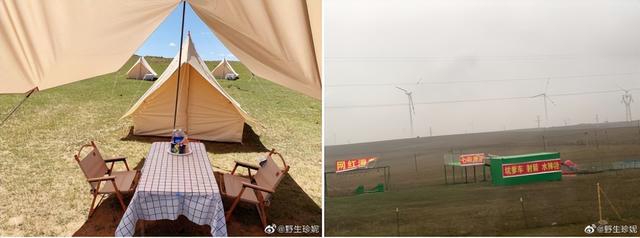 不断“种草”的小红书，正在让互联网杂草丛生