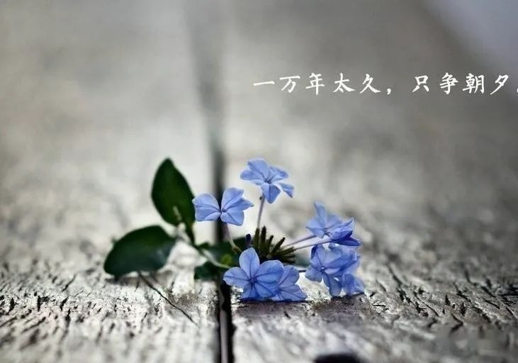 一场视频号直播前，都要准备些啥？