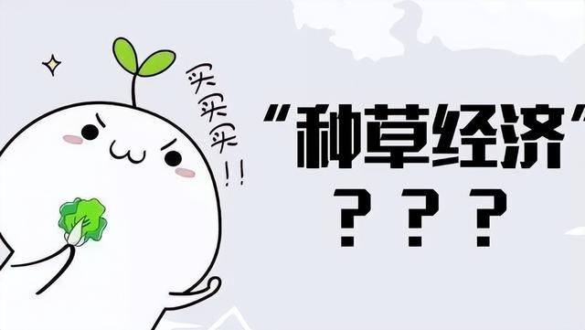 小红书种草达人类型有哪些？达人类型不同推广要点也不一样