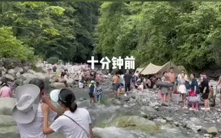 小红书坑爹种草，还要害死多少人？